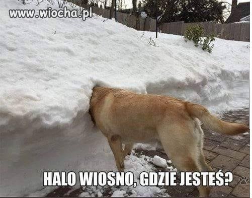 Wiosna 