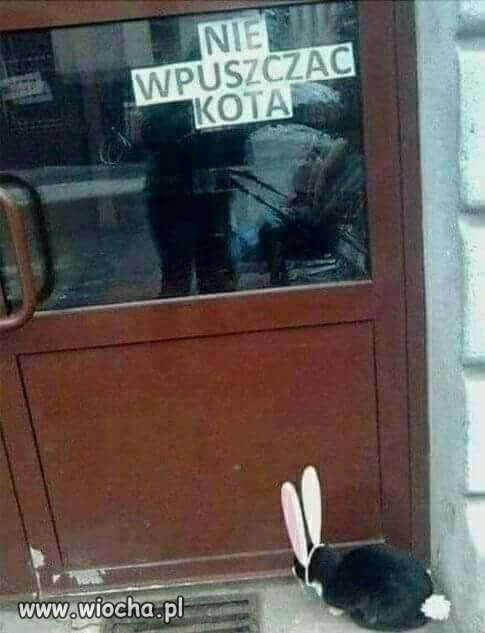 Wesołego Alleluja 