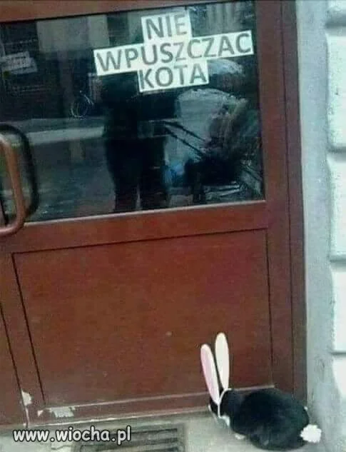 Wesołego Alleluja 