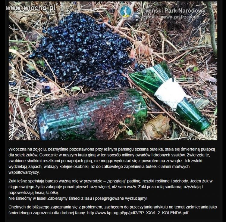 Szklana pułapka