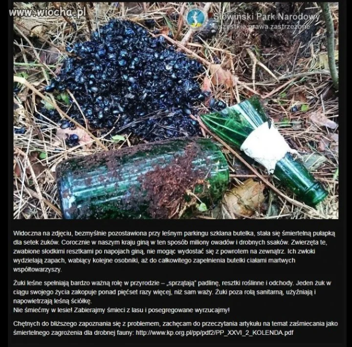 Szklana pułapka