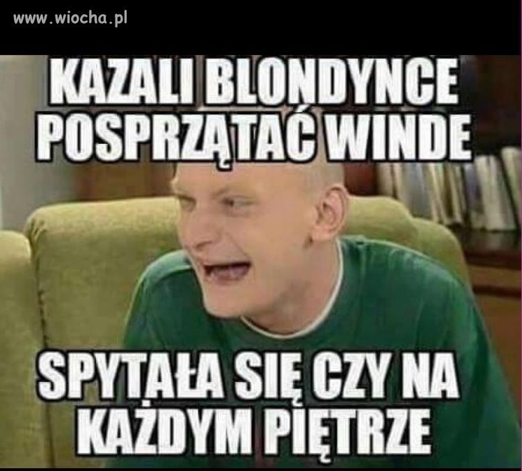 Blondi