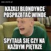 Blondi