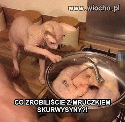 Teraz pora na Kitku
