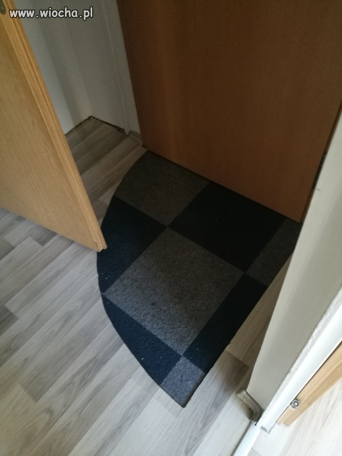 Po co skracac dzwi 