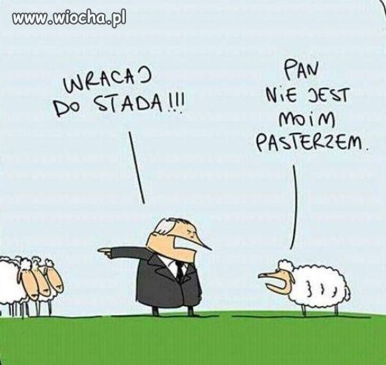 W życiu