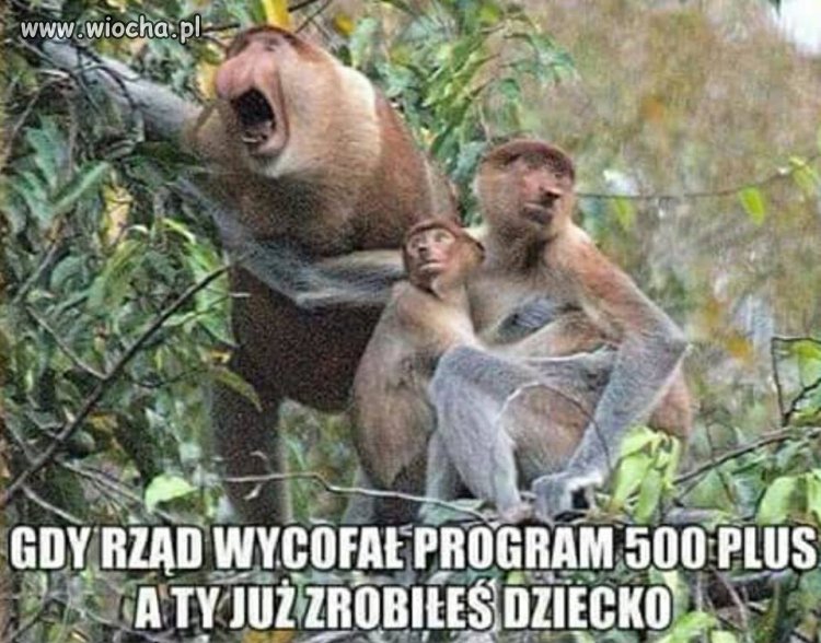 Tacy to będą mieć pecha.