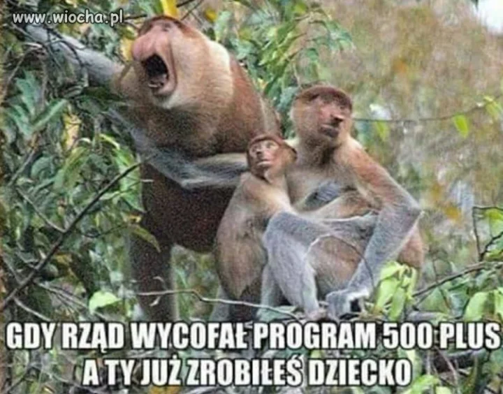 Tacy to będą mieć pecha.