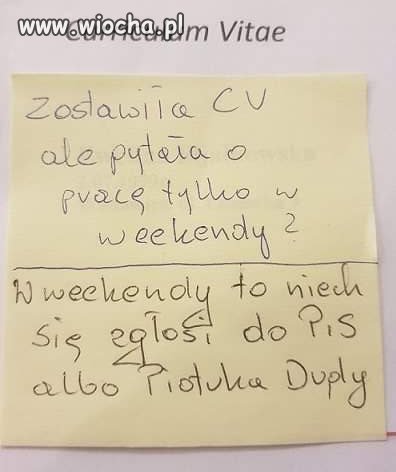 Studentka szuka pracy