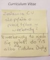 Studentka szuka pracy