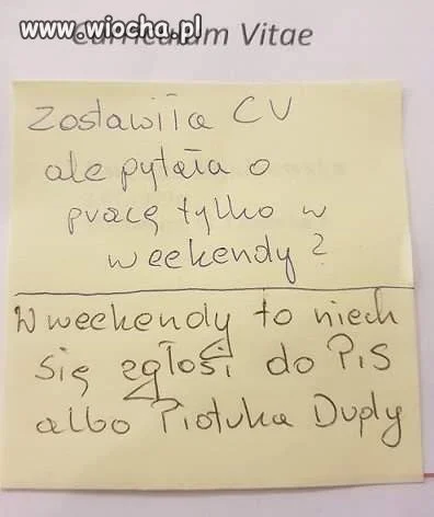 Studentka szuka pracy