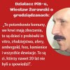 Następny geniusz z PiS
