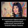 I to rzuca nowe światło na zachowanie polityków PIS