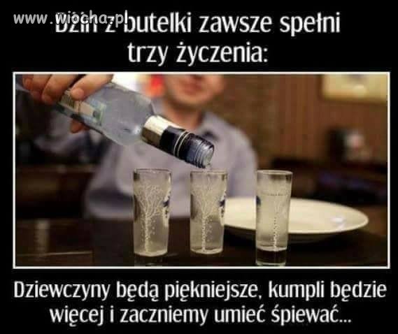 Alkohol nie rozwiązuje problemów 