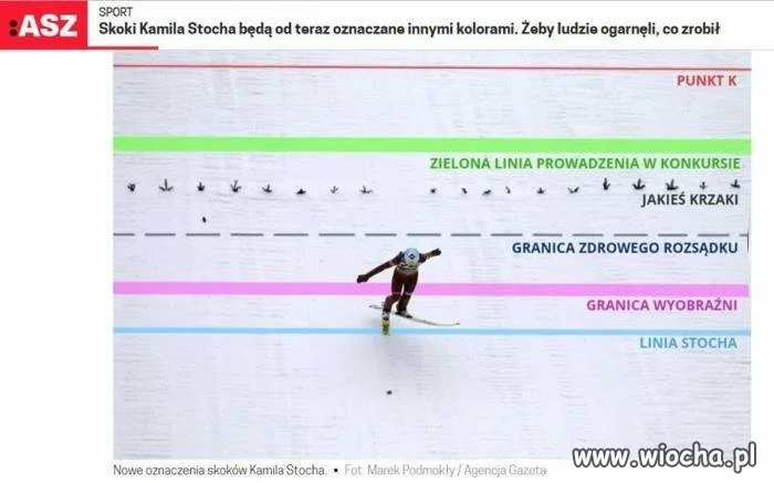 Jakieś krzoki
