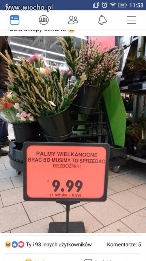 Palmy
