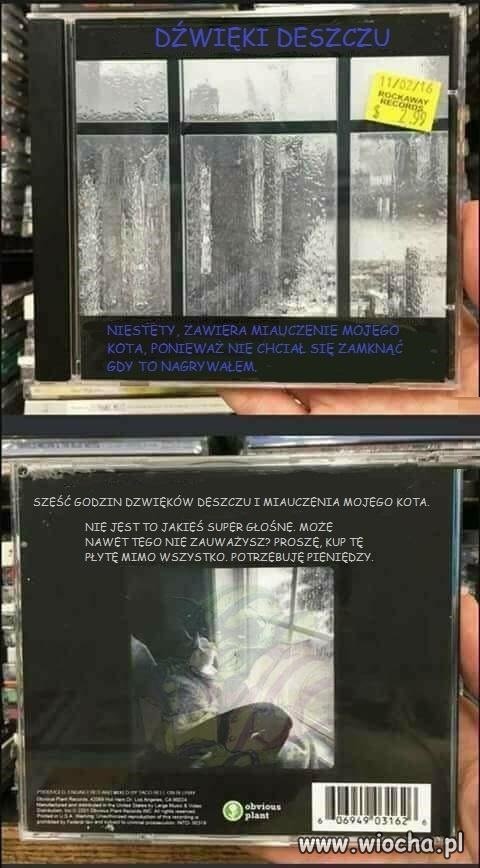 Dźwięki deszczu