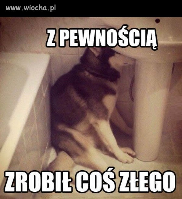 Winny