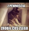 Winny
