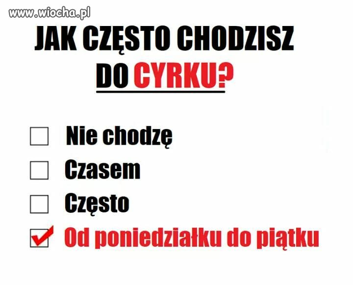 Jak często chodzisz do cyrku?
