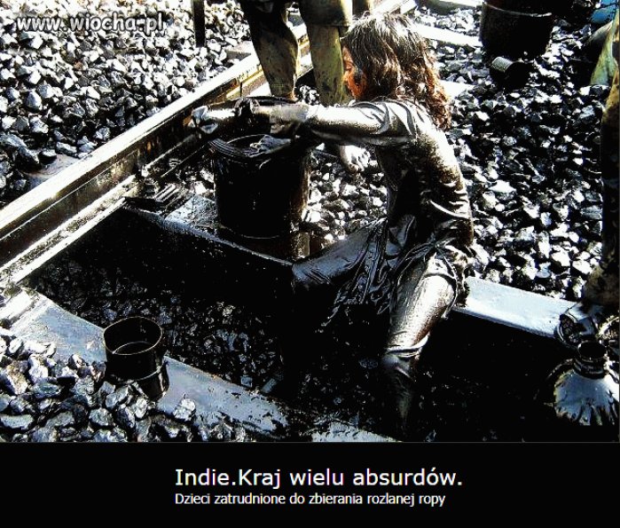 Taki jest świat
