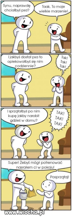 Pies to odpowiedzialność