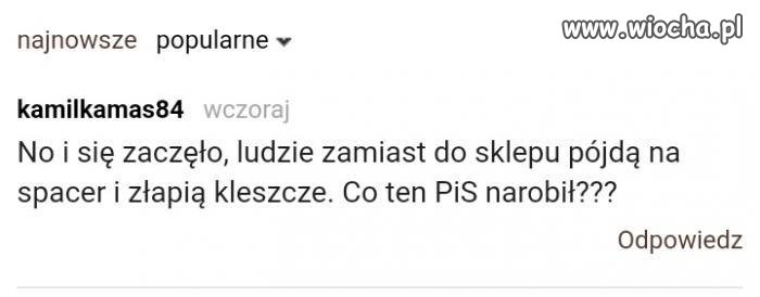 Po co im te kleszcze?