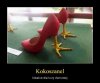 Kokoszanel