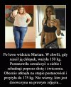 Samo życie