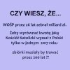 Czy wiesz , że