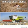 Siła