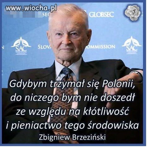 I nie ma się co dziwić bo wszyscy