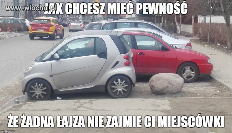 No i który cwaniak