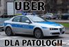 Patologia za kierownicą