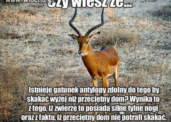 Z cyklu