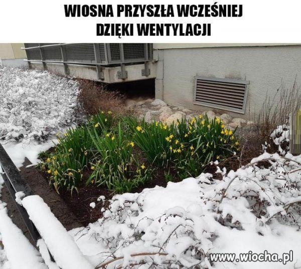 Wczesna wiosna