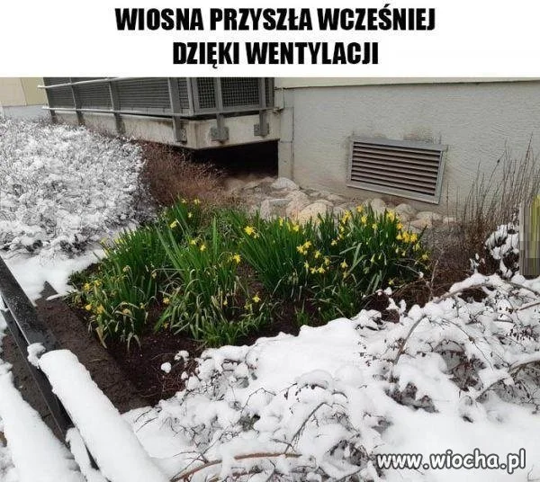 Wczesna wiosna