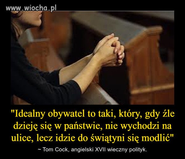 Idealny obywatel okiem polityka