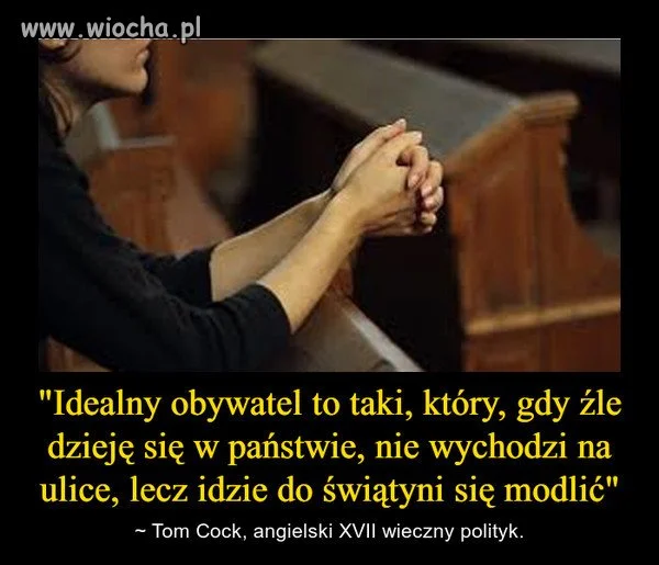 Idealny obywatel okiem polityka