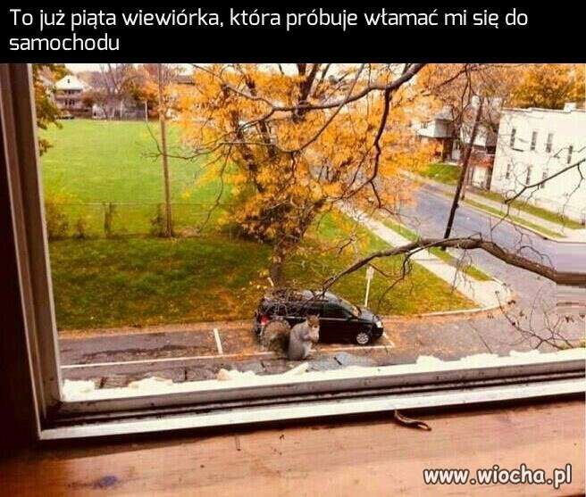 Macie pomysł co z tym zrobić?