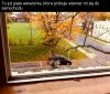 Macie pomysł co z tym zrobić?