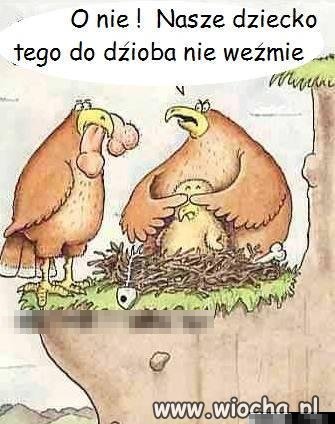 Karmienie