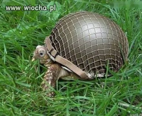 Tak...