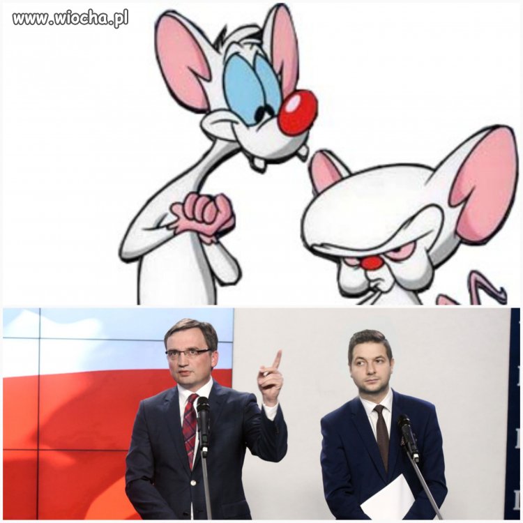 Perfekcyjnie dobrani
