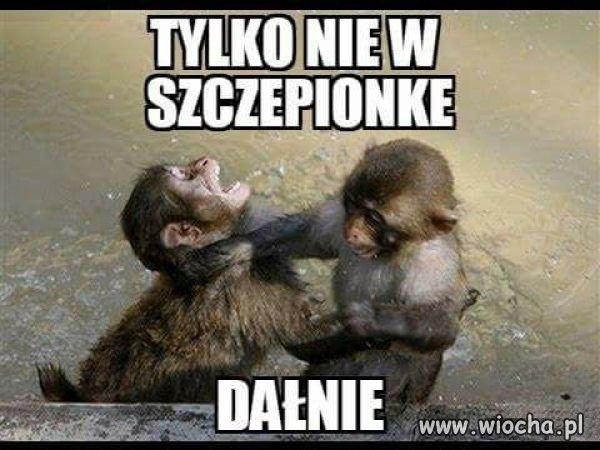 Pamiętacie?