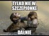 Pamiętacie?