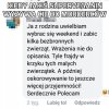Frajda jakich mało