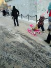 Dzieci mają przynieść do przedszkola zwierzątko
