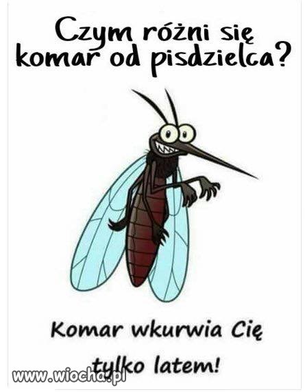 Różnica 