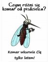 Różnica 